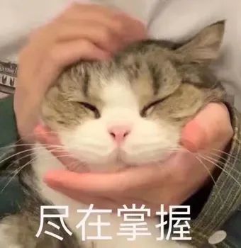 202306211817417839.Jpeg